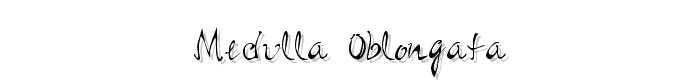 Medulla%20Oblongata font